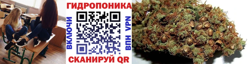 мориарти формула Пионерский Каннабис THC 21%